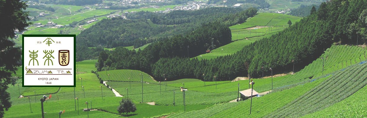 Azuma Tea Garden - Yunomi.life