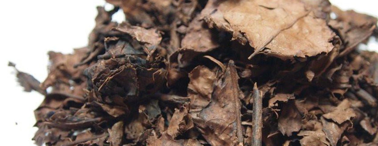 Bancha - Yunomi.life