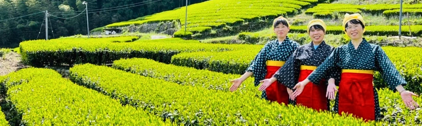 Kiyosawa Tea Gardens - Yunomi.life