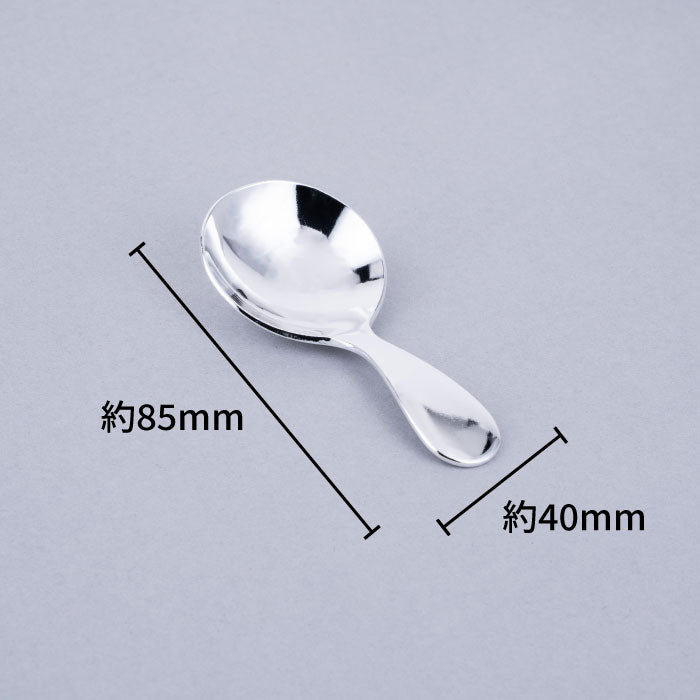 Aoyoshi: Stainless Chasaji Tea Scoop