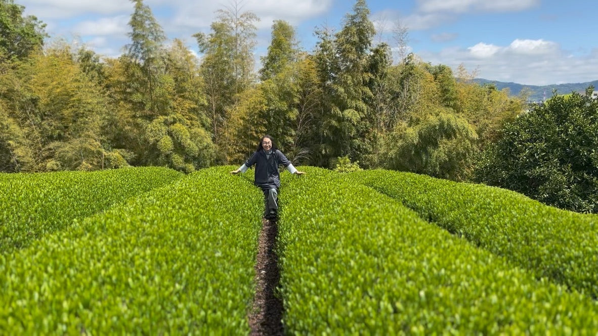 #0170.K3足柄茶ラボ:荻窪煎茶やぶきたマイクロロット(神奈川県小田原市)