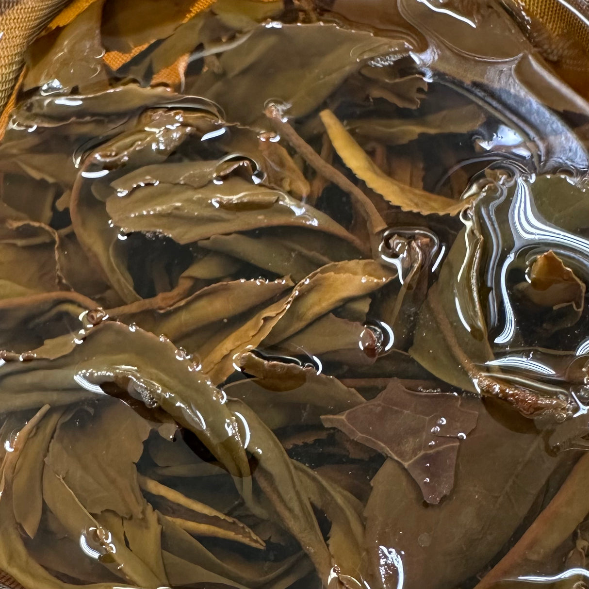 Yoshida Tea Garden: Sashimacha Yabukita Missho Second Flush, yhden lajikkeen musta tee (Wakocha)