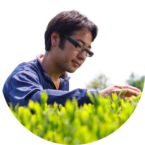 #0324.S2 Hiraoka Tea Garden: 2025 Shincha - Premium Grade Sencha "Sakura" 特上煎茶「桜」