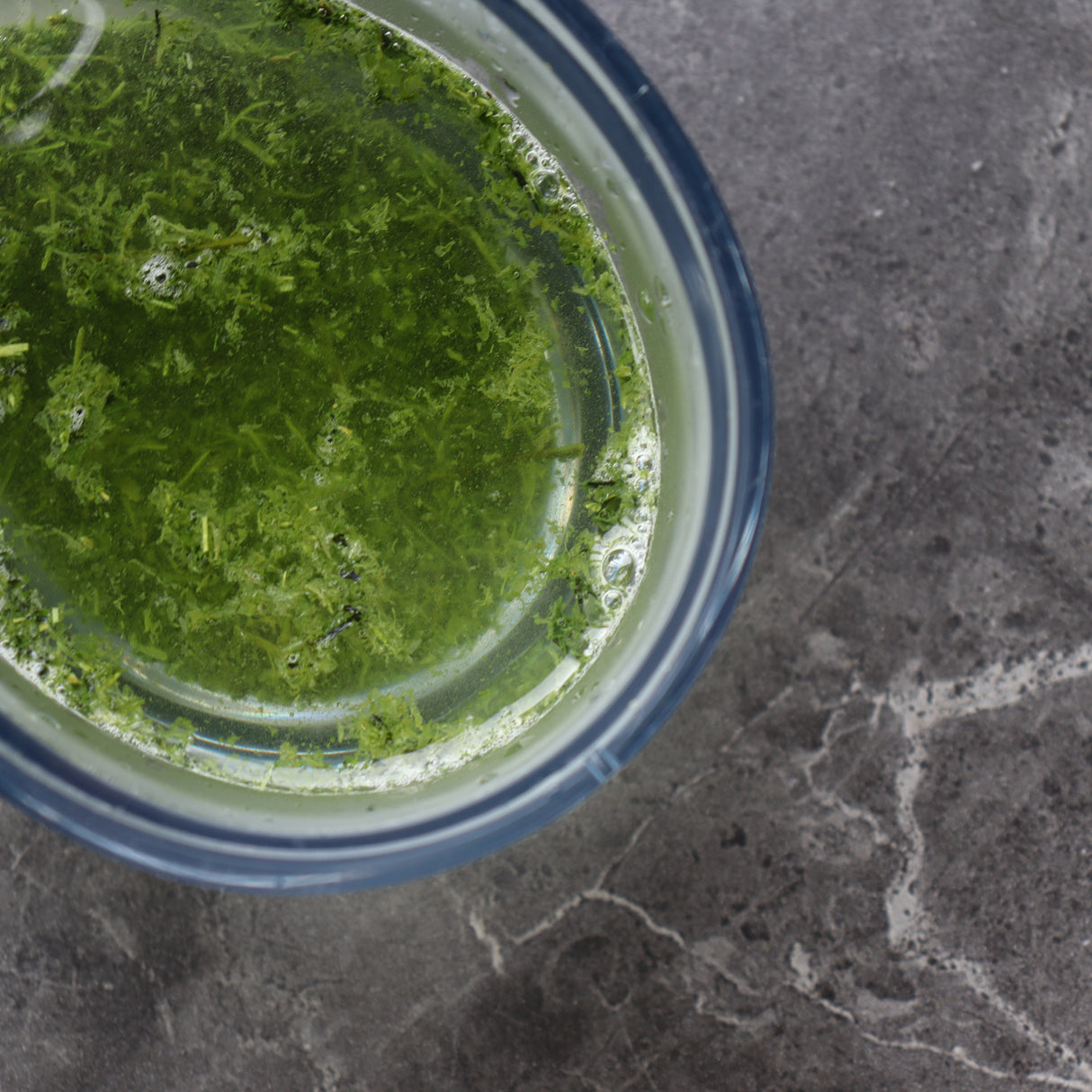 (SOLD OUT for 2025) #0296.K2 Furuichi Seicha: Limited Edition 2025 Shincha Kagoshima First Flush Fukamushicha 鹿児島茶新茶