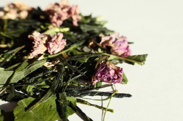 #0040.K6 桜煎茶 (おぶぶ茶) 桜煎茶