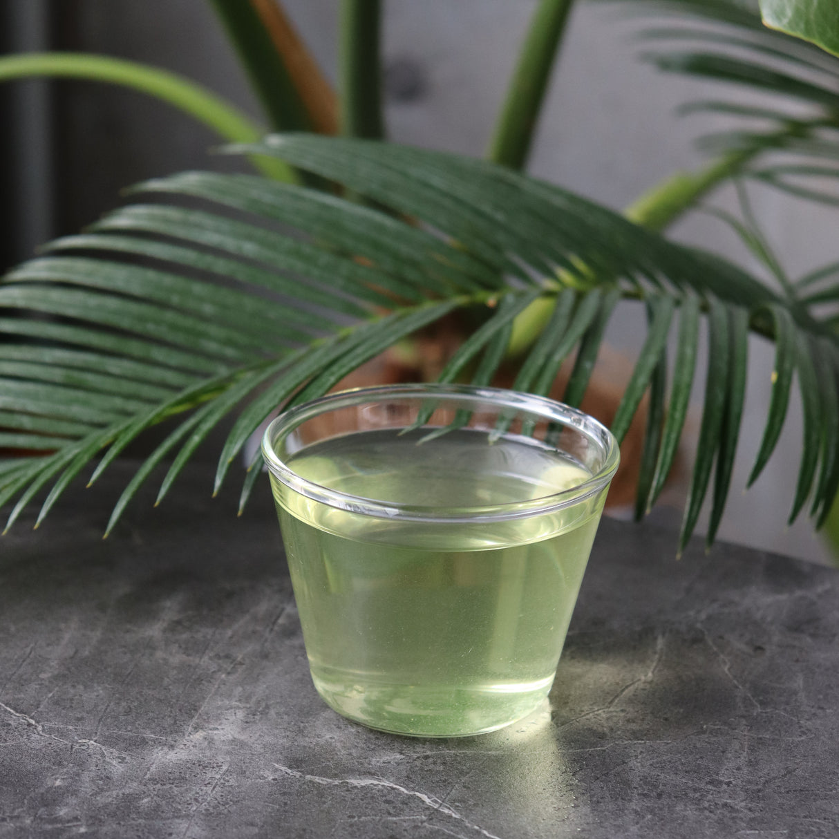 #0697.K6 上島茶園 京都府和束町の単一品種さえかり煎茶