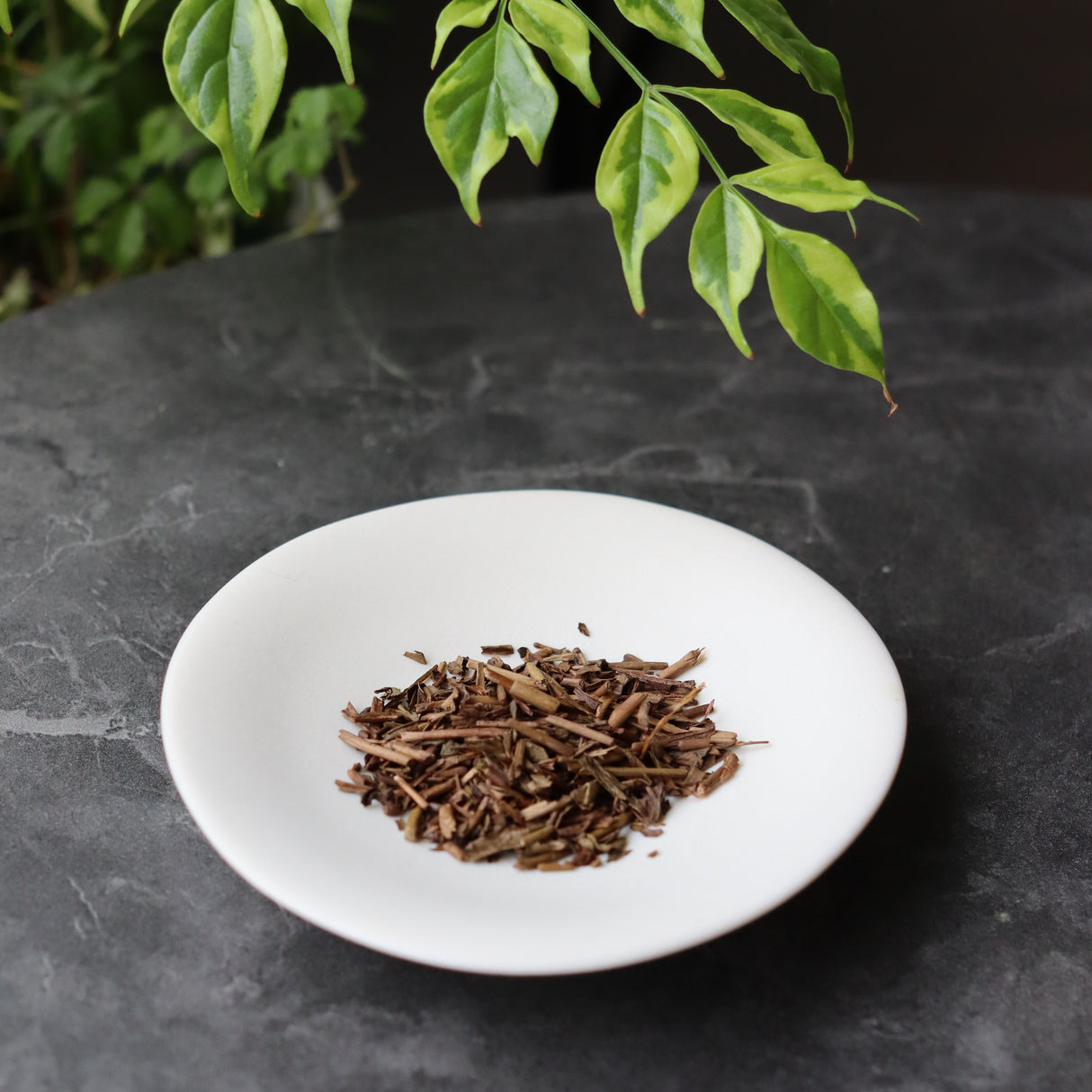Dobashien Tea #18: Kakegawa-sarja: Premium Shizuoka Hojicha Roasted Green Tea 特上ほうじ茶 100g