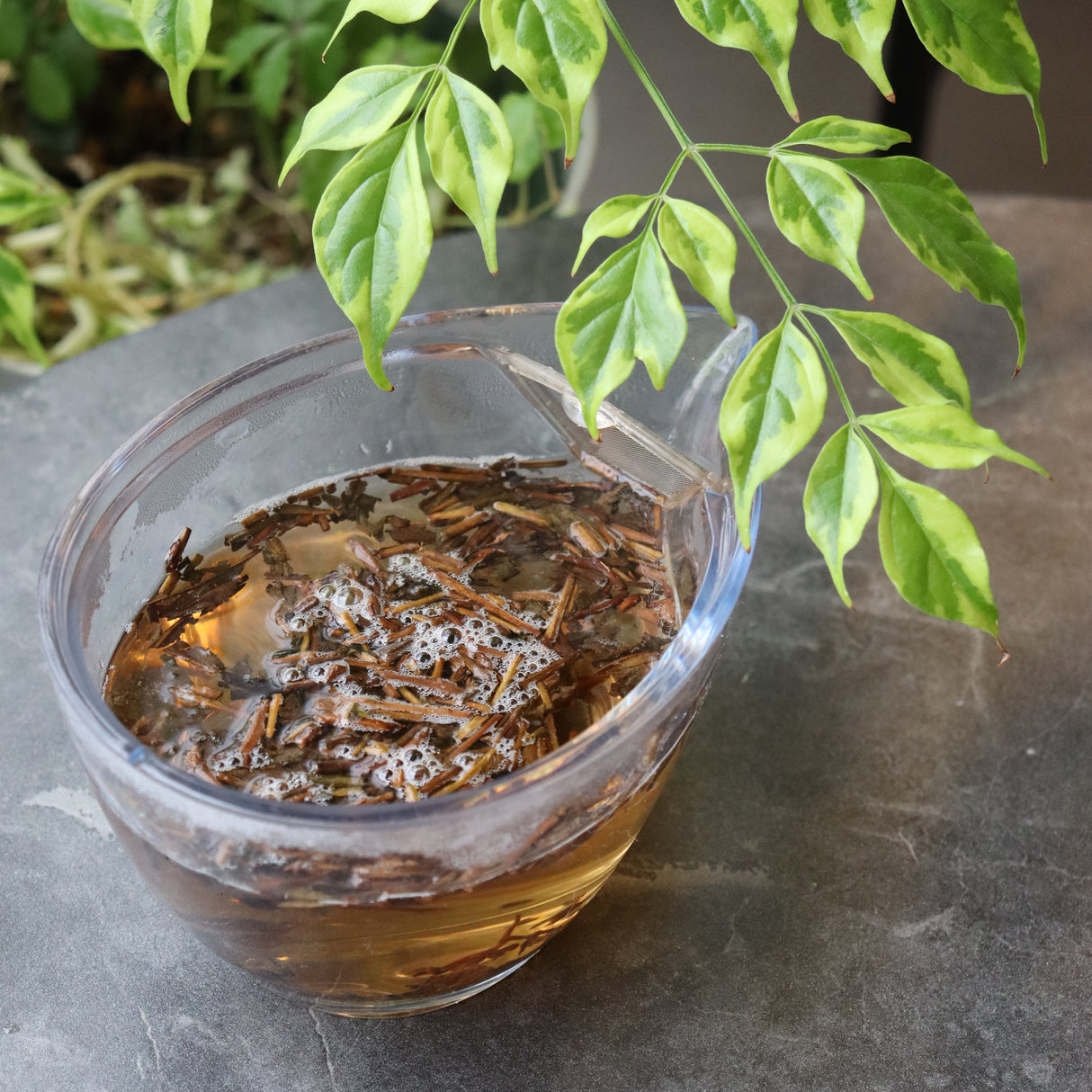 Dobashien Tea #18: Kakegawa-sarja: Premium Shizuoka Hojicha Roasted Green Tea 特上ほうじ茶 100g
