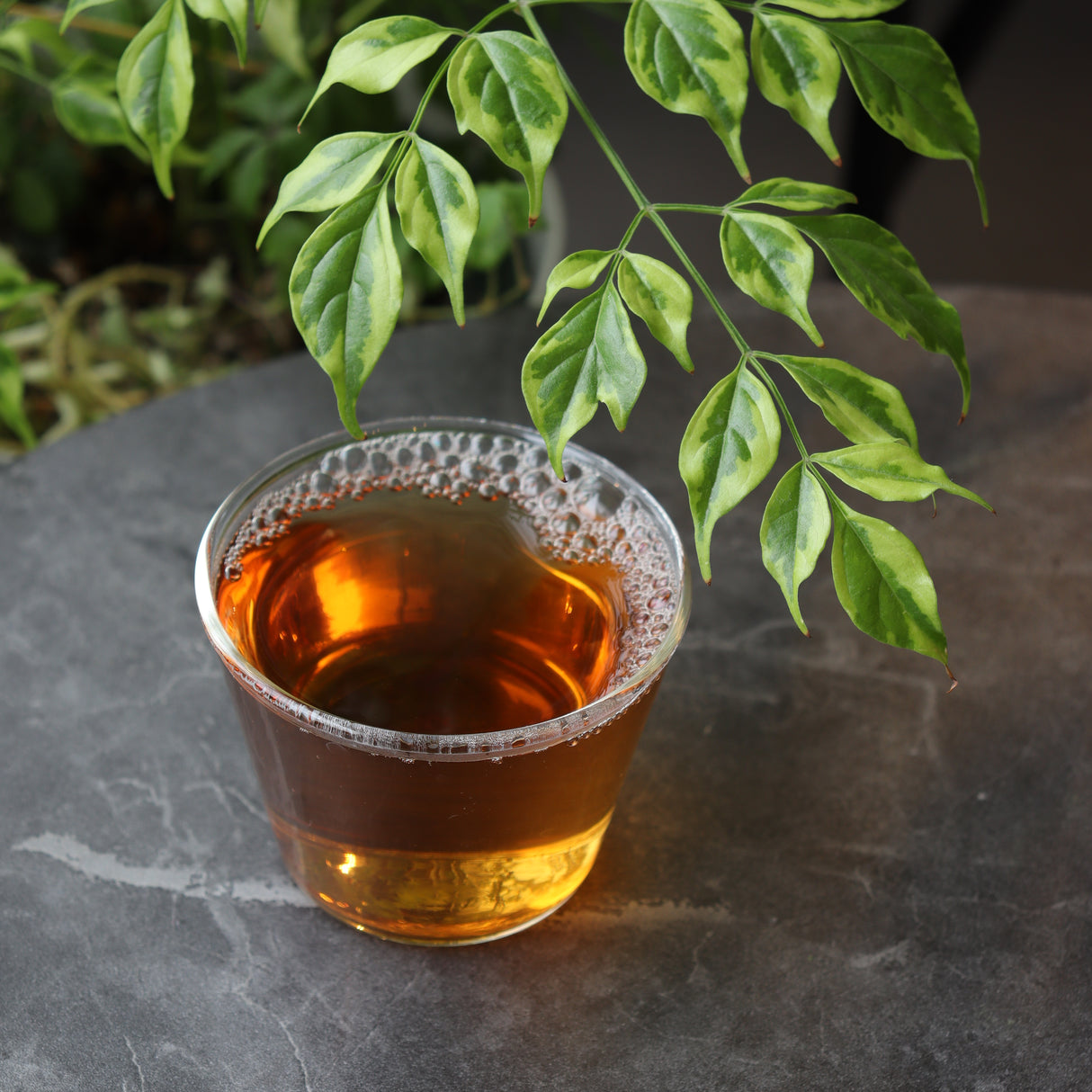 Dobashien Tea #18: Kakegawa-sarja: Premium Shizuoka Hojicha Roasted Green Tea 特上ほうじ茶 100g