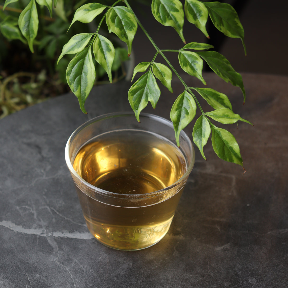 #0210.S5 土橋園茶 #17: 掛川シリーズ: 帝都静岡ほうじ茶 ほうじ茶葉茎 極上ほうじ茶