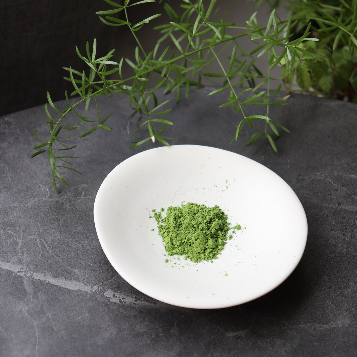 #0871.S5 竹明堂:薄茶抹茶 海月の白 抹茶【海月の白】