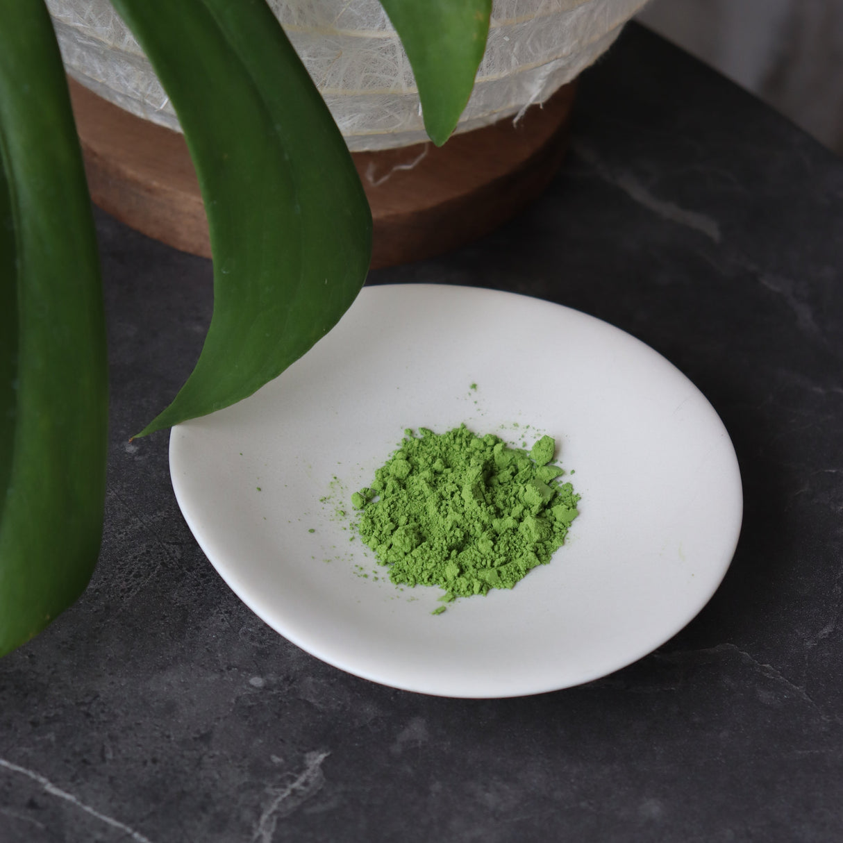 #0870.S5 Chikumeido: Usucha Matcha Seiju no Shiro 抹茶【清寿の白】