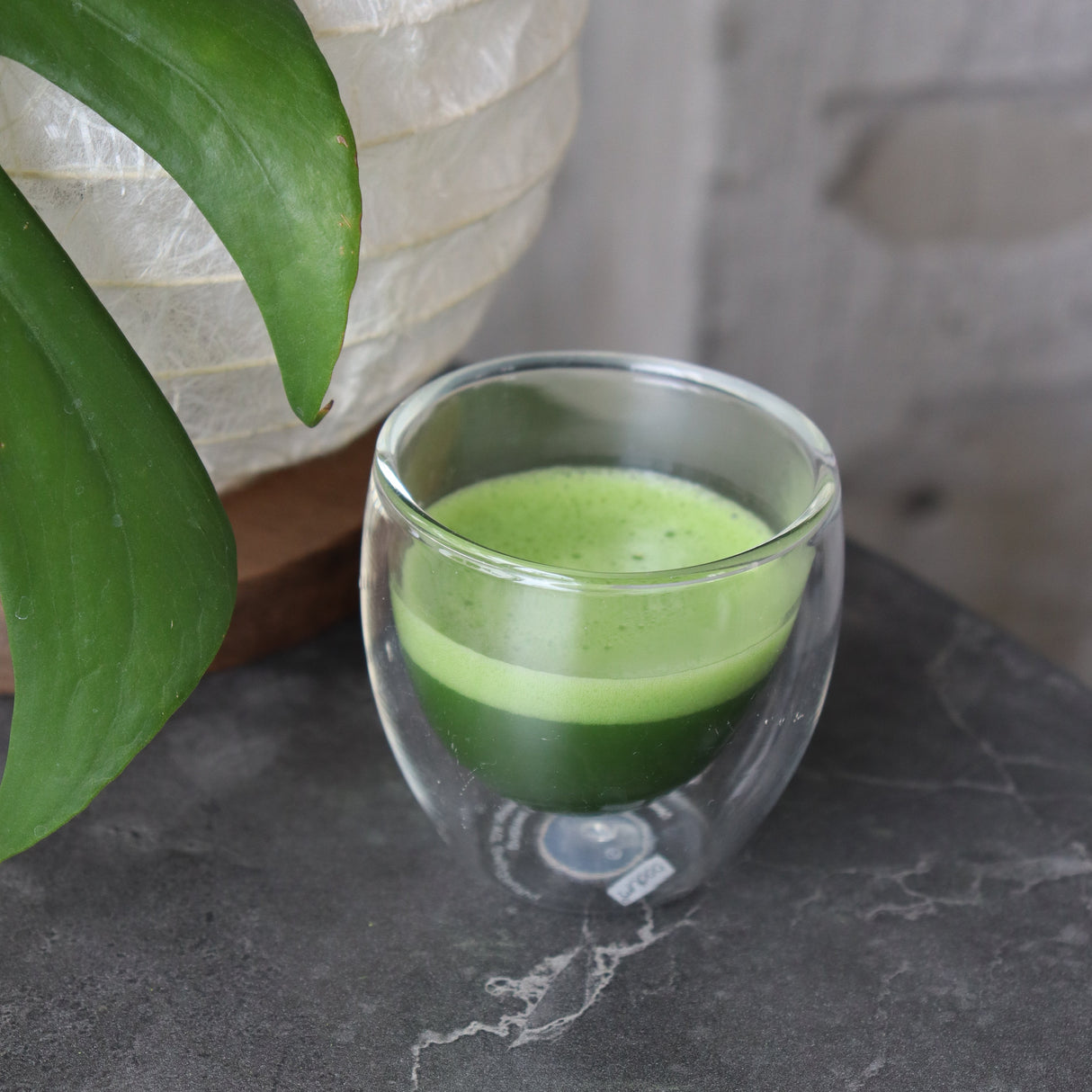 #0870.S5 Chikumeido: Usucha Matcha Seiju no Shiro 抹茶【清寿の白】