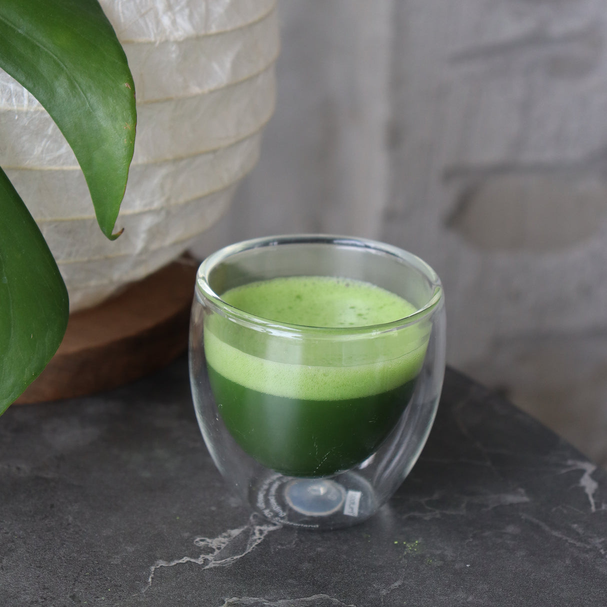 #0869.S5 竹明堂:薄茶抹茶 久方の白 抹茶【久方の白】