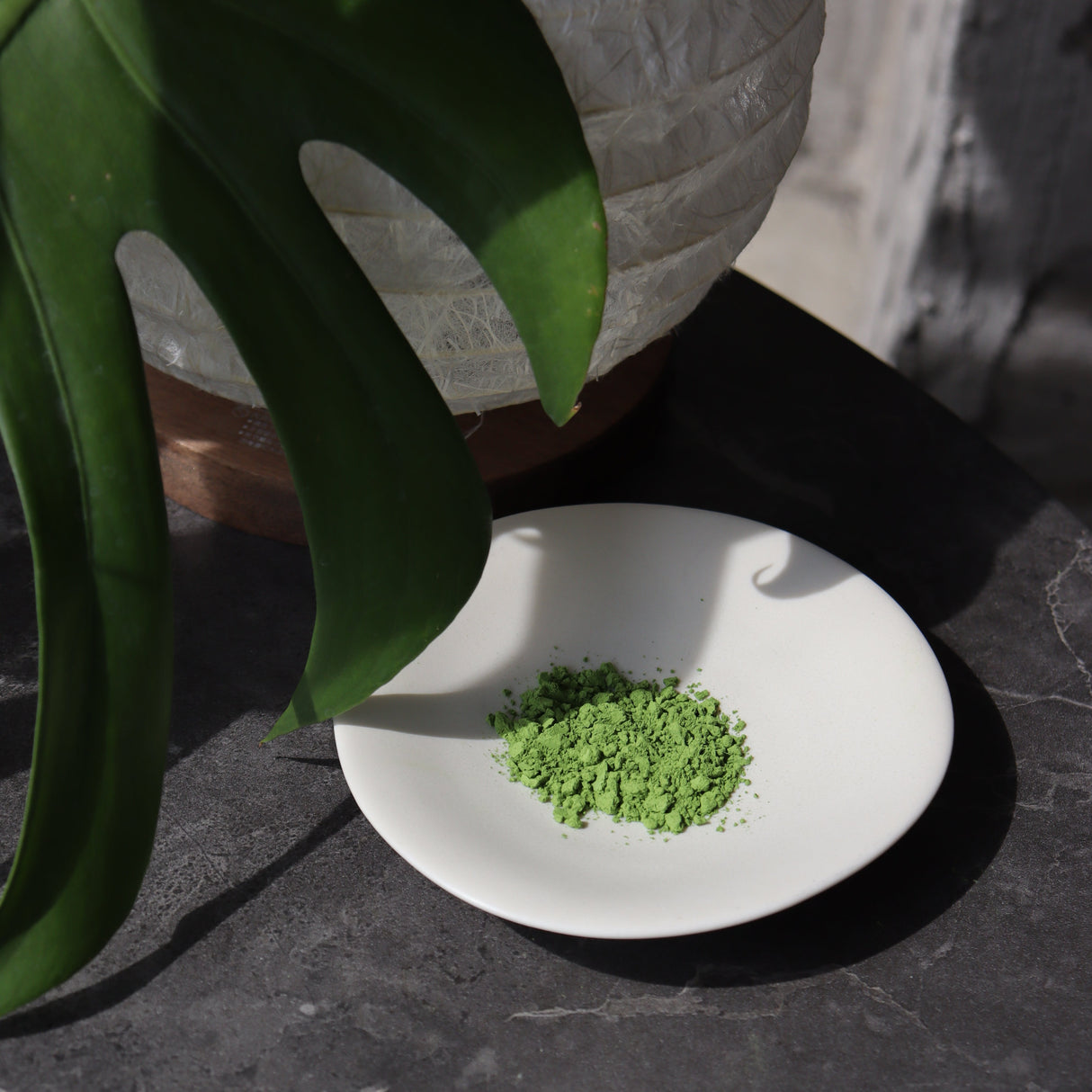 #0867.S5 竹明堂:濃茶抹茶ほうせいのむかし抹茶【鳳静の昔】