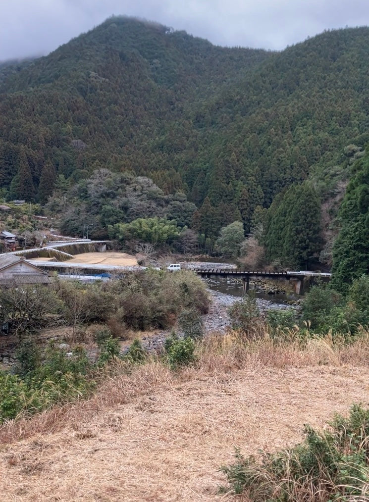 #0834.T2 農家 石本明美さん厳選 徳島県産 ししくい寒茶