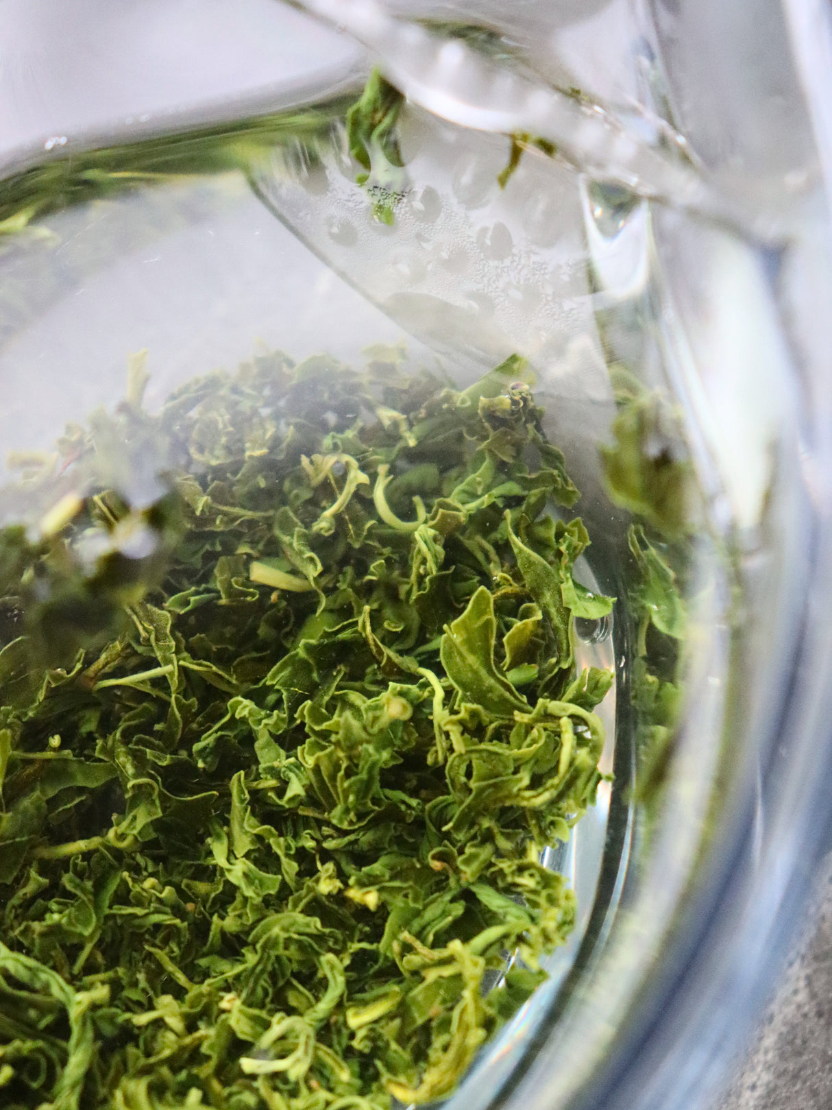 #0485.M3 Miyazaki Sabou MY05: Naturally Grown Kamairicha Green Tea - Takachiho Single Cultivar