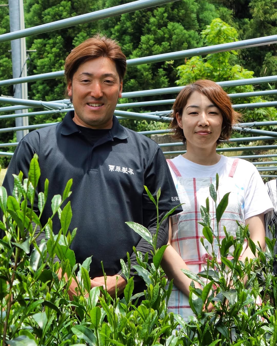 #0065.F2 栗原茶:匠の技 - 栗原遺産玉露