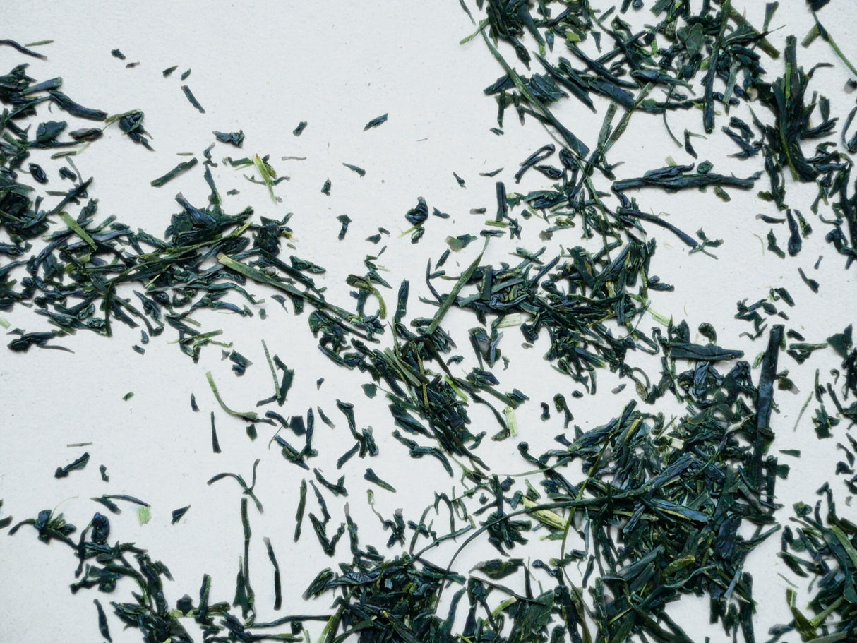 Engawa - 和 Nagomi (30g Gift Can) Single Cultivar Okumidori Sencha from Wazuka Village, Kyoto