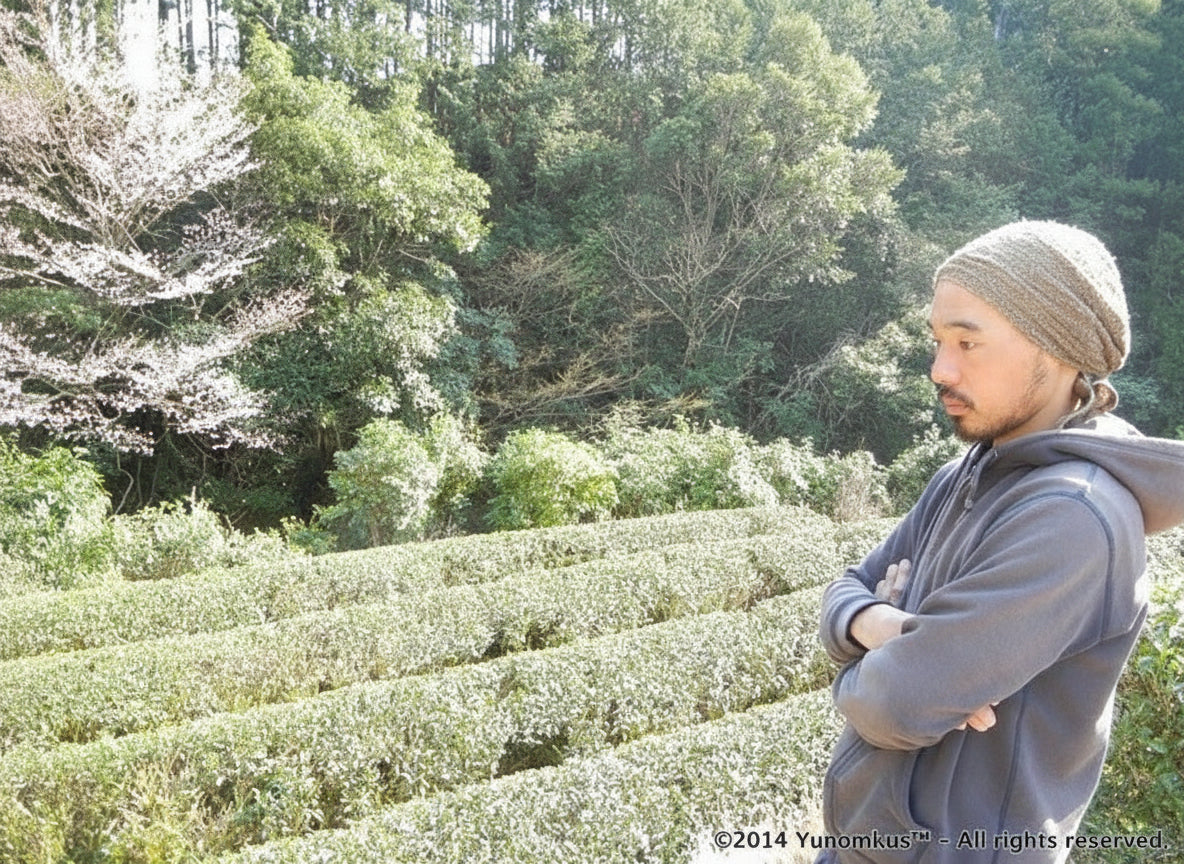Dokodemosora #02: Naturally Grown Wakayama Superior Hojicha Roasted Green Tea - Yunomi.life