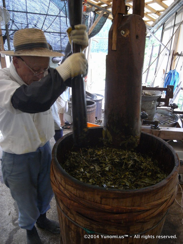 Furyu: Awa Bancha ふりゅう 阿波番茶 - Yunomi.life