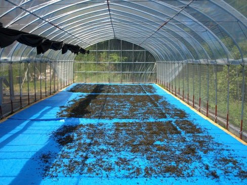 #0615.N3 みとちゃ NR001: 天日干し釜炒り茶(軽焙煎)