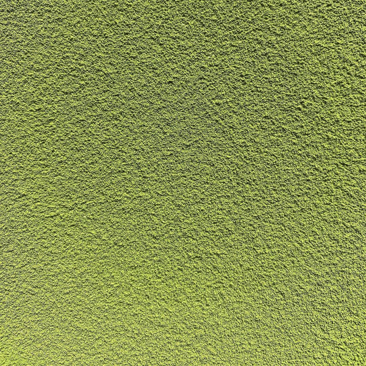 (2025年入手不可) #0515.K6 中井茶園:自然栽培宇治抹茶 清正(さみどり)標準式典用 30g、京都府和束町