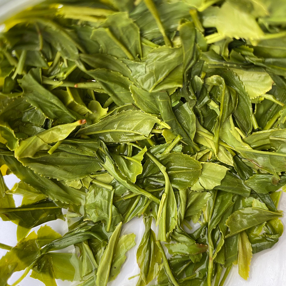 #0391.S5 ケインズティー:2024年4月 金谷秀峰 金谷秀峰 限定手揉み初摘み浅虫茶