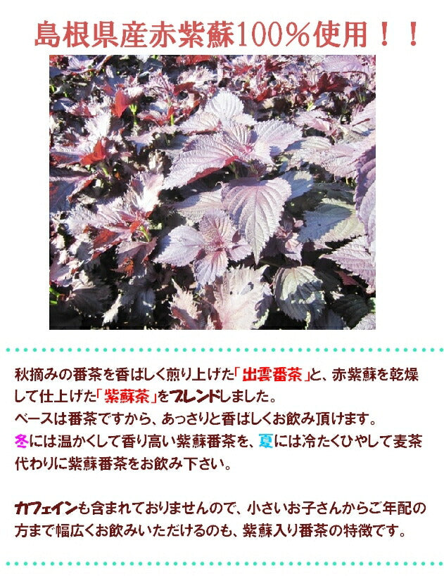 #0533.S4:紫蘇入り健康番茶|お茶の三幸園