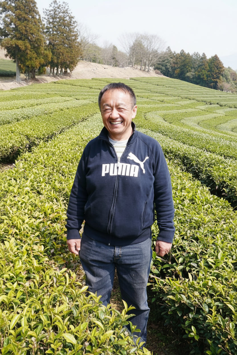 Tarui Tea Farm: 2022 Organic Sencha - Shurei, Elegant Beauty 有機 秀麗 - Yunomi.life