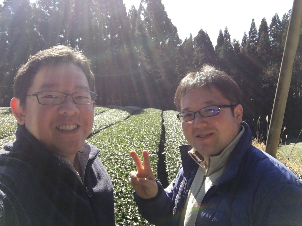 Yunomi Services: Tea Business Consultations - Yunomi.life