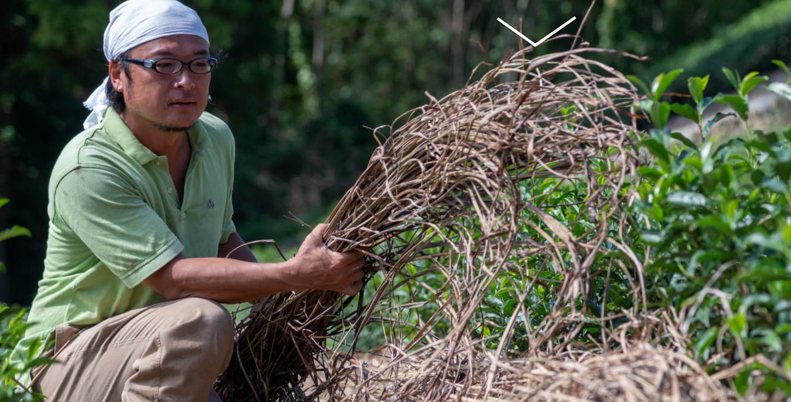 The Leafies Awards 2022 acknowledges Japanese Tea Farmers