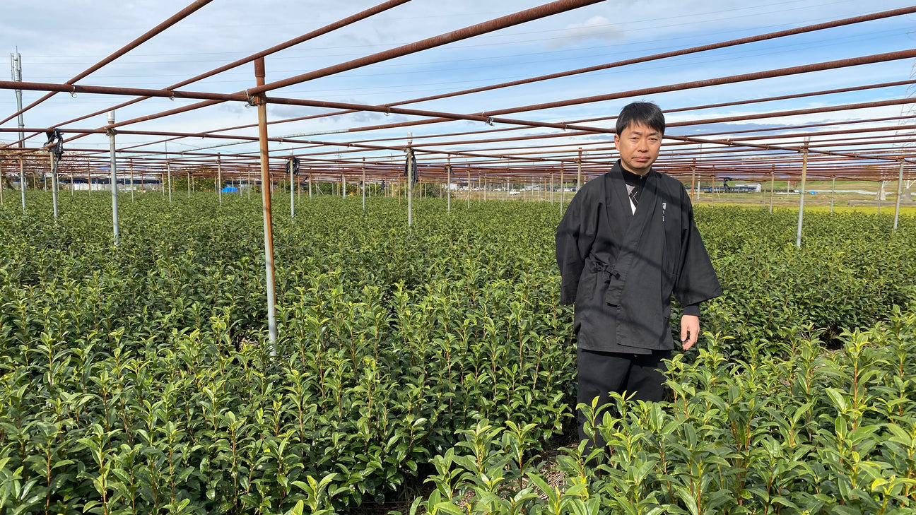 Shogyokuen Tea Factory