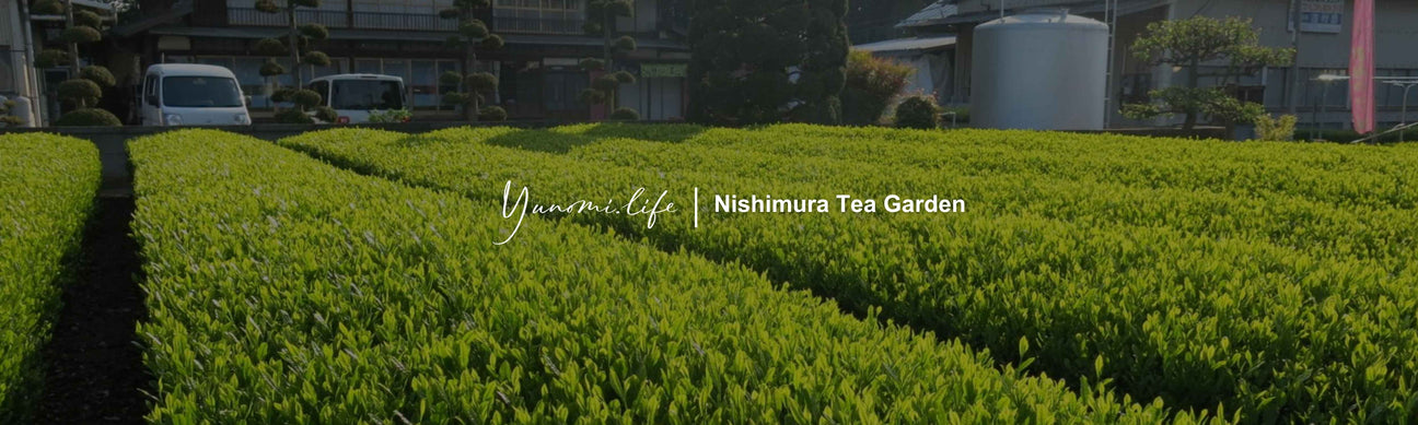 Nishimura Tea Garden