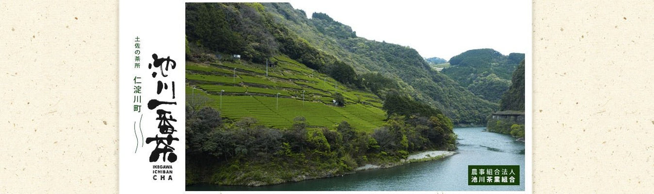 Ikegawa Tea Farm Coop - Yunomi.life