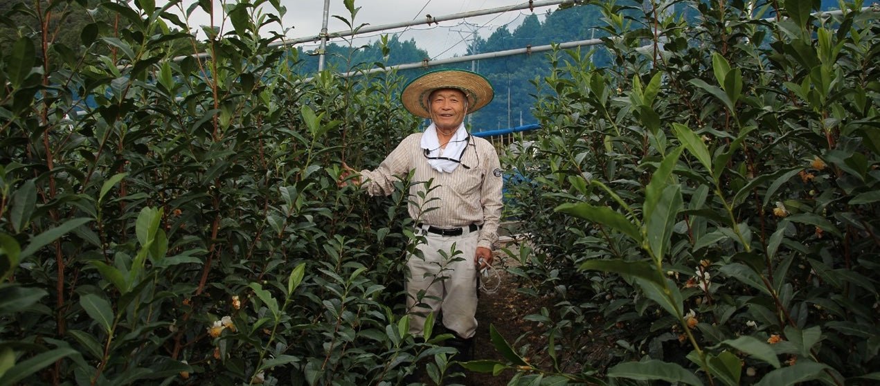 Kaneta Ota Tea Garden - Yunomi.life