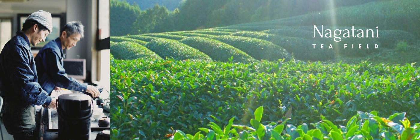 Nagatani Tea