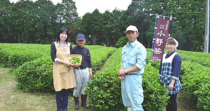 Onocha Tea - Yunomi.life