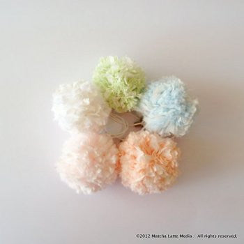Saki-Pon Project
