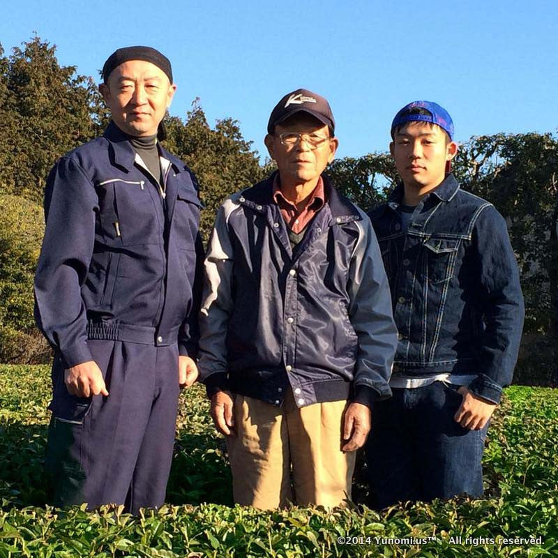 Yokota Tea Garden