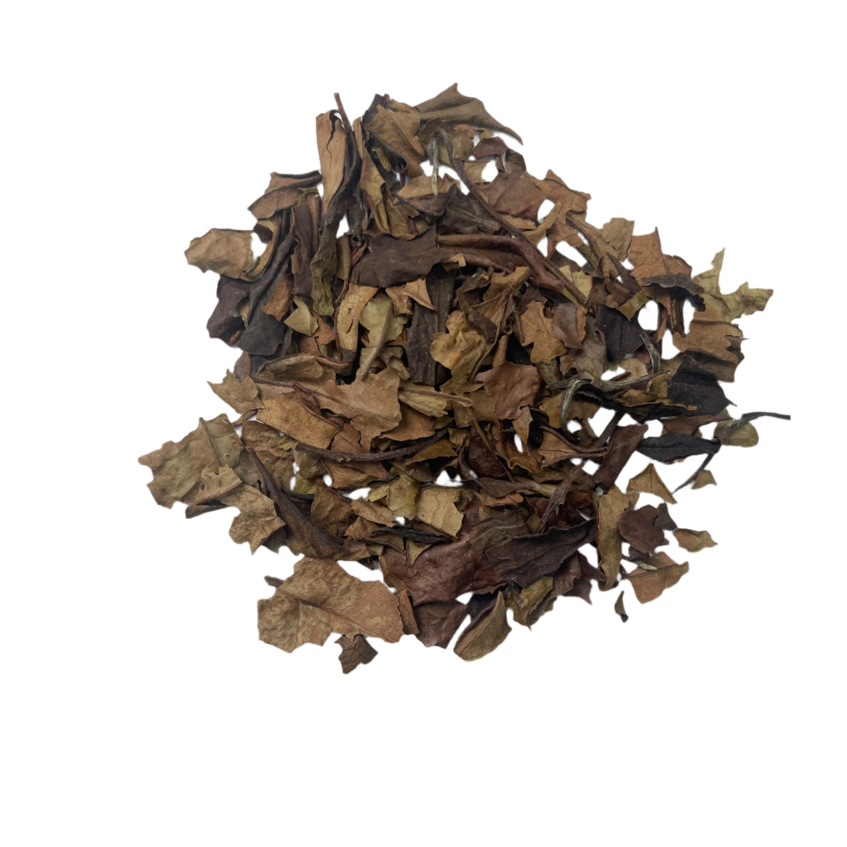 #0107.K6 Azuma Tea: Naturally Grown Spring Samidori White Tea from Kyoto (Experimental) さみどり白茶