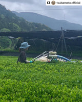 #0896.A1 Tsubame to Chabatake: Farm Direct Wakocha Black Tea from Nukata Village, Okazaki, Aichi