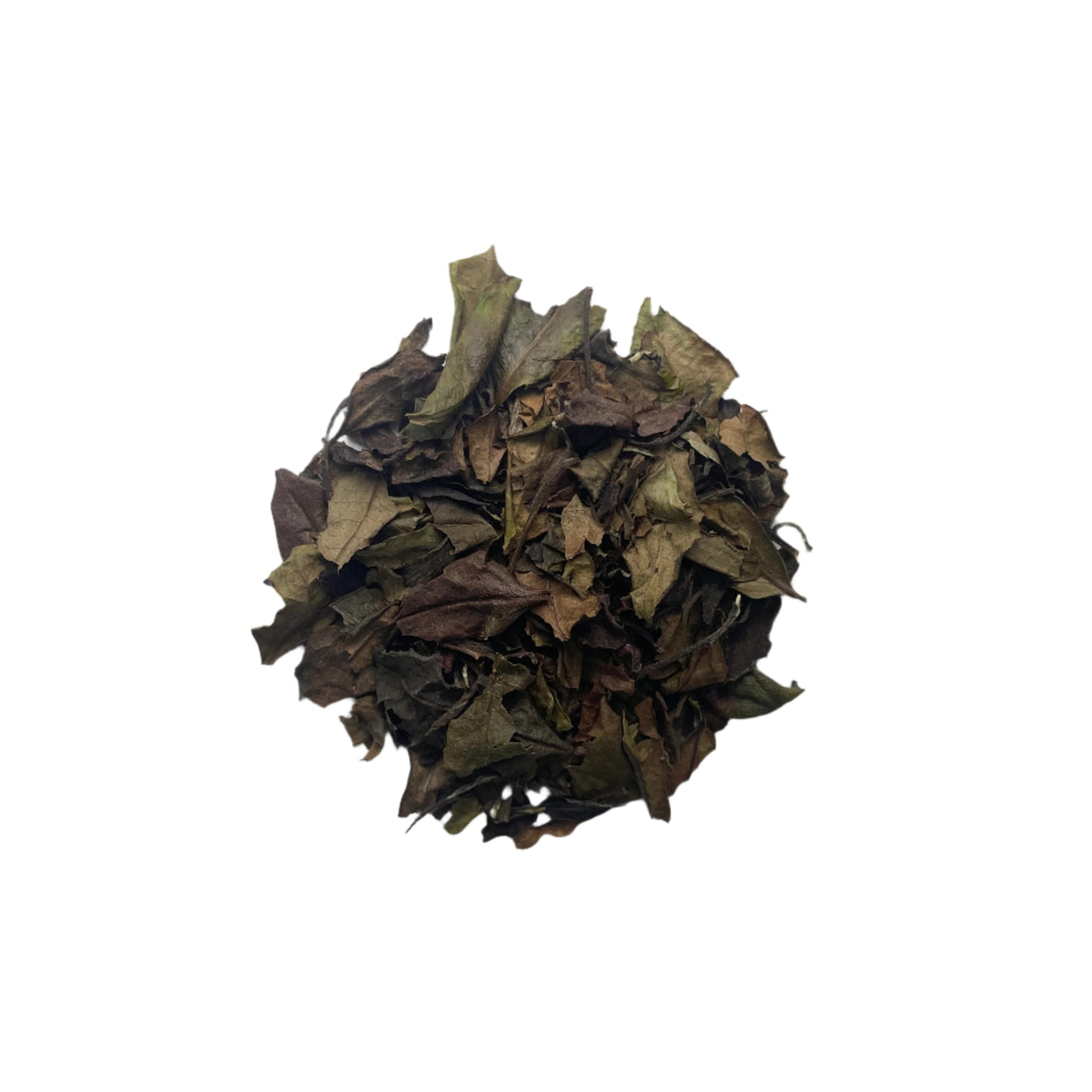 #0923.K6 Azuma Tea: Naturally Grown Spring Okumidori White Tea from Kyoto (Experimental) おくみどり白茶