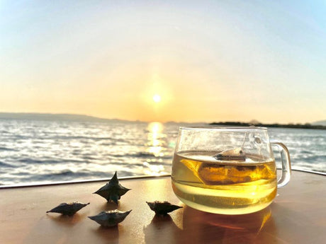 #1097 Inabishi: Hishicha - Japanese Water Caltrop Herbal Tea pic