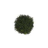 #1117 Saito Tea Garden: Yame Sencha Wakaba / 斉藤茶園：上煎茶 わかば