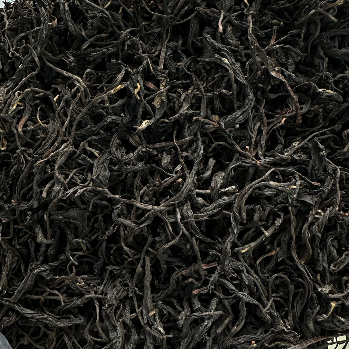 スタジオレッスン - お茶のプロまたは愛好家レベル - パーソナライズされた日本茶の奥深さ