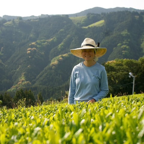 Ayumi Farms (Cyittorattu): 2024 Sencha joka nauraa vuorten kanssa 山と笑う煎茶