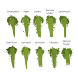 #0110.K6 Cultivar Comparison (10g x 10 types): 2026 Azuma Tea Garden Stone Milled Matcha Sampler