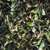 #0376.S5 Kaneroku Matsumoto Tea Garden: Summer White Tea Single Cultivar Koushun 白茶香駿