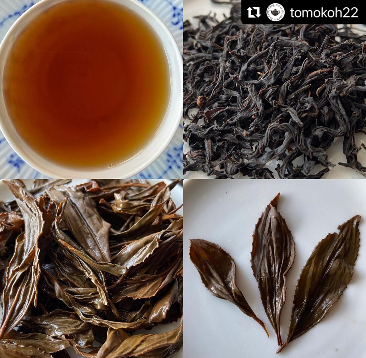 #0268.F2 Chiyonoen Tea Garden: #21A Mountain-Grown Yame Black Tea, Single Cultivar Kanaya Midori Spring【矢部紅茶】かなやみどり 春摘み (Naturally Grown)